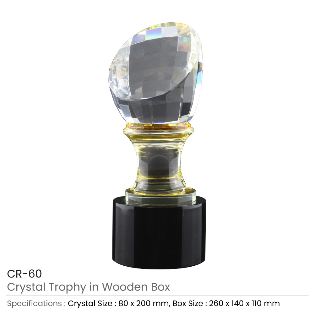 Crystal-Trophy-in-Wooden-Box-CR-60-Details